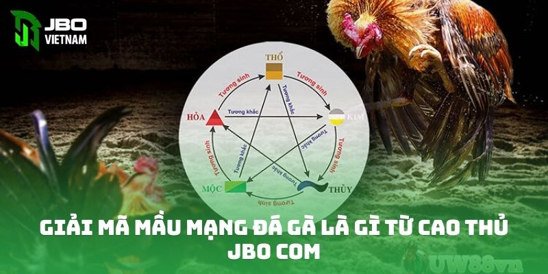 Giải mã mầu mạng đá gà là gì từ cao thủ JBO COM