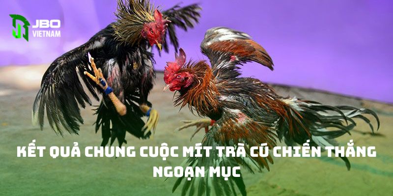 Kết quả chung cuộc Mít Trà Cú chiến thắng ngoạn mục