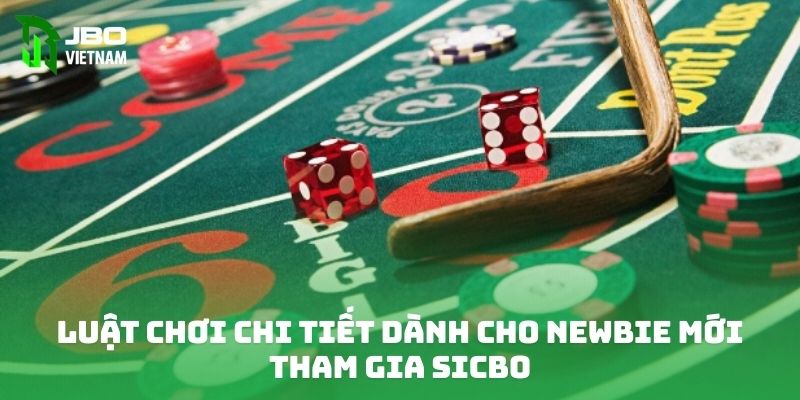 Luật chơi chi tiết dành cho newbie mới tham gia Sicbo