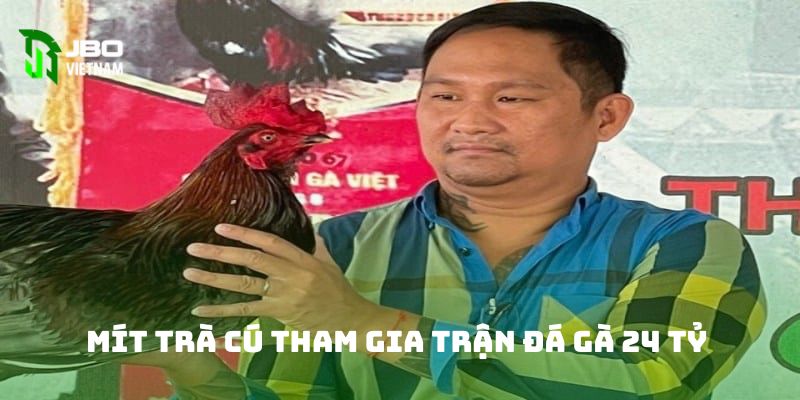 Mít Trà Cú tham gia trận đá gà 24 tỷ 