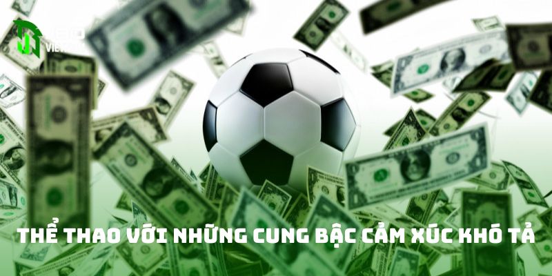 Thể thao với những cung bậc cảm xúc khó tả 