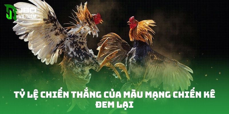 Tỷ lệ chiến thắng của màu mạng chiến kê đem lại